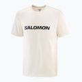 Vyriški marškinėliai Salomon Logo whisper white 3