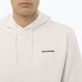 Vyriškas džemperis Salomon Chest Logo Hoodie whisper white 3