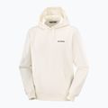 Vyriškas džemperis Salomon Chest Logo Hoodie whisper white 5
