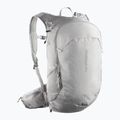 Turistinė kuprinė Salomon Trailblazer 20 l cloudburst/paloma/silver
