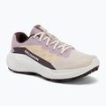 Moteriški bėgimo batai Salomon Alphaglide tapioca/dawn pink