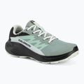 Moteriški bėgimo batai Salomon Alphaglide GTX green milieu/asphalt