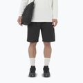 Vyriški šortai Salomon Wayfarer Ease 2.0 deep black