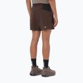 Vyriški bėgimo šortai Salomon Sense Aero Stow 5" coffee bean 3