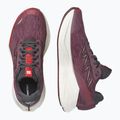 Moteriški bėgimo batai Salomon Aero Glide 4 huckleberry/vanilla ice 3