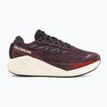 Moteriški bėgimo batai Salomon Aero Glide 4 huckleberry/vanilla ice 2