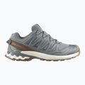 Vyriški bėgimo batai Salomon XA Pro 3D V9 GTX Lifelong sedona sage/coyote brown
