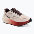 Moteriški bėgimo batai Salomon Aero Blaze 4 vanilla ice/huckleberry