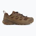 Vyriški žygio batai Salomon X-Adventure GTX dark earth/coyote/earth 2