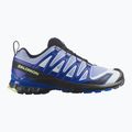 Vyriški bėgimo batai Salomon XA Pro 3D V9 Icon black/brunnera blue