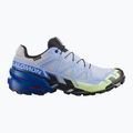 Vyriški bėgimo batai Salomon Speedcross 6 GTX Icon brunnera blue/surf the web