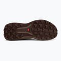 Vyriški bėgimo batai Salomon Genesis 2 vanilla ice/iron 4