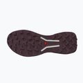 Moteriški bėgimo batai Salomon Genesis 2 vanilla ice/huckleberry 4