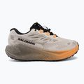 Moteriški bėgimo batai Salomon Aero Blaze 4 GRVL GTX rainy day/black 2