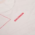 Vyriški bėgimo marškinėliai Salomon S\Lab Speed Tee SS lilac ash 3