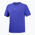 Vyriški bėgimo marškinėliai Salomon Shakeout Core SS Tee clematis blue 4