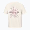 Vyriški bėgimo marškinėliai Salomon Shakeout Core GFX SS Tee whisper white/pink frosting 6