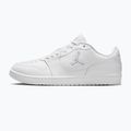 Vyriški batai Nike Jordan Access Court Low white/pure platinum 2
