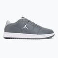Vyriški batai  Jordan Access Court Low smoke grey/white/light smoke grey 2