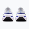 Vyriški bėgimo batai Nike Winflo 12 off white/white/wolf grey/black 6