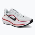 Vyriški bėgimo batai Nike Winflo 12 off white/white/wolf grey/black