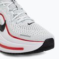 Vyriški bėgimo batai Nike Winflo 12 off white/white/wolf grey/black 7