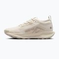 Moteriški bėgimo batai Nike Pegasus Trail 5 GTX light orewood brown/safety orange/cream Ii 2