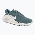 Vyriški treniruočių batai Nike Flex Train mineral slate/spruce aura/white