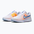Vyriški bėgimo batai Nike Run Defy white/topaz gold/blue crystal 3