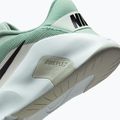 Moteriški treniruočių batai Nike Flex Train steam/light silver/barely green/black 8