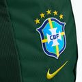 Kuprinė Nike Academy Brazil 30 l pro green 4