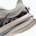 Moteriški bėgimo batai Nike Pegasus Premium SE phantom/anthracite/pencil point 6