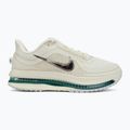 Moteriški bėgimo batai Nike Pegasus Premium sea glass/malachite/metallic silver 2