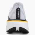 Vyriški bėgimo batai Nike Pegasus 42 white/lapis/total orange/metallic silver 6