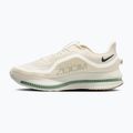 Vyriški bėgimo batai Nike Pegasus Premium Pale ivory/jade horizon/black spruce 2