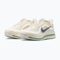Vyriški bėgimo batai Nike Pegasus Premium Pale ivory/jade horizon/black spruce 3