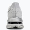 Vyriški bėgimo batai Nike Pegasus Premium photon dust/metallic Silver/black 6