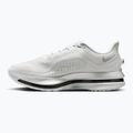 Vyriški bėgimo batai Nike Pegasus Premium photon dust/metallic Silver/black 2