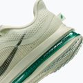 Moteriški bėgimo batai Nike Pegasus Premium sea glass/malachite/metallic silver 5