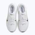 Vyriški bėgimo batai Nike Pegasus 42 white/photon dust/black 5