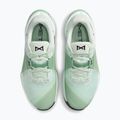 Moteriški treniruočių batai Nike Metcon 10 barely green/steam/light silver/black 5