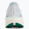 Moteriški bėgimo batai Nike Pegasus 42 white/malachite/metallic silver 6