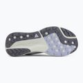 Moteriški bėgimo batai Nike ACG Pegasus Trail ghost/mineral slate/cement grey 4