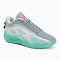Moteriški krepšinio batai  Jordan Heir Series 2 white/metallic silver/light pumice