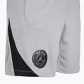 Vyriški futbolo šortai Nike Paris Saint-Germain Strike SE atmosphere grey/black/black 9