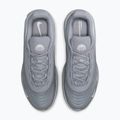 Vyriški batai Nike Air Max Fire wolf grey/wolf grey/white 14