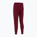 Vyriškos futbolo kelnės Nike Tech Fleece Poland Jogger team red 2