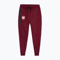 Vyriškos futbolo kelnės Nike Tech Fleece Poland Jogger team red 3