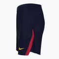Vyriški futbolo šortai Nike FC Barcelona Dri-Fit ADV Match blackened blue/mineral yellow 3