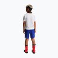 Vaikiški futbolo šortai Nike Paris Saint-Germain Dri-Fit Stadium old royal/white 3